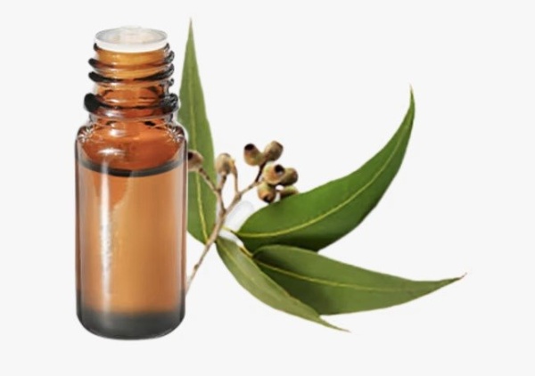 Huile Essentielle d'Eucalyptus
