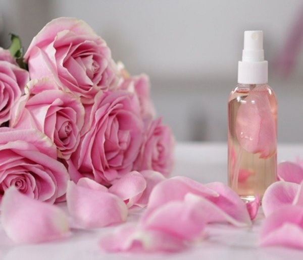 Macérât huileux de Rose